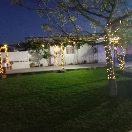 Casa Dos Avos Veras 아베이루 외부 사진